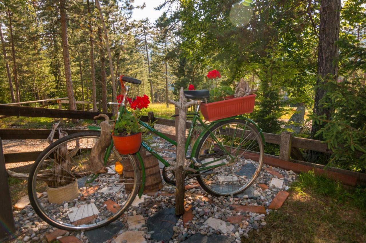 Zavicaj Apartmani3 Zaovine Esterno foto